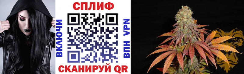 Наркотические вещества Алейск Псилоцибиновые грибы  Канабис  Меф мяу мяу  Гашиш 