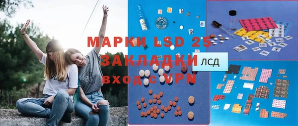 крисы Алзамай