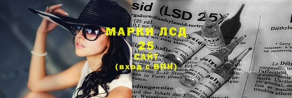крисы Алзамай