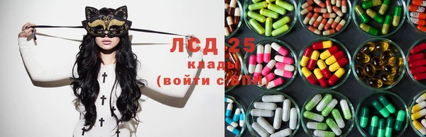 крисы Алзамай